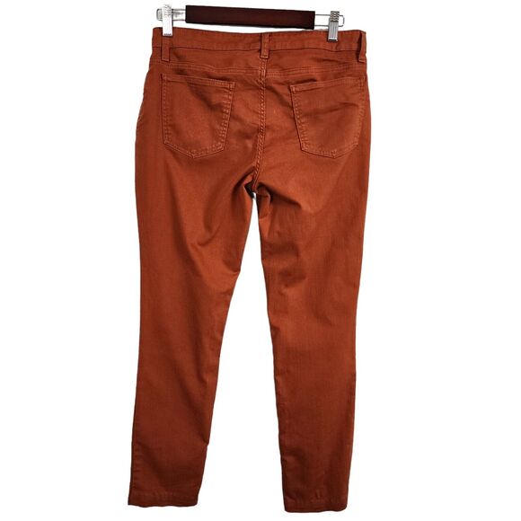 Eileen Fisher Stretch Denim SIZE 4 Low Rise straight jeans pants casual Rust - Picture 2 of 7
